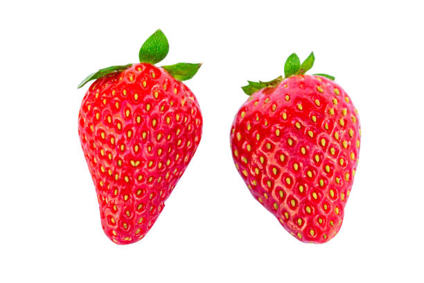 istock Strawberry isolated on white background 1038787292