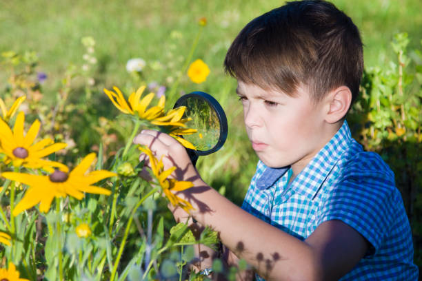 istock Boy with magnifying glass in summer garden 1038787680