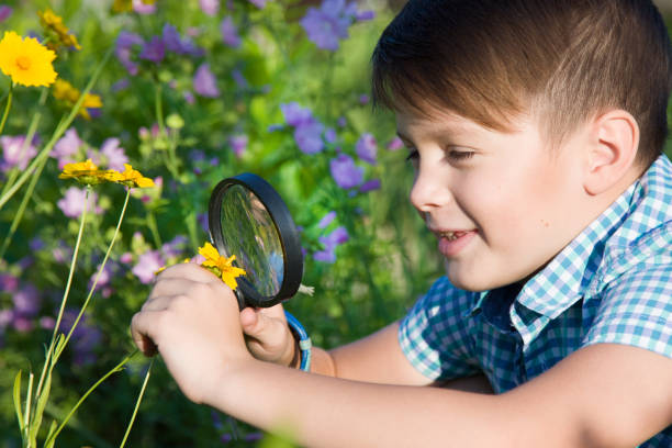 istock Boy with magnifying glass in summer garden 1038787730