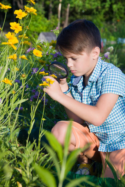 istock Boy with magnifying glass in summer garden 1038787744