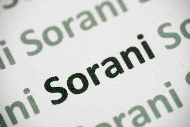 istock word Sorani  language printed on paper macro 1038788332