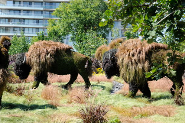 MosaiCulture 2018, Jacques Cartier Park, Gatineau, Quebec, Canada, 09/13/2018,   Mother Earth; buffalo, one of the 45 horticultural masterpieces showcased at Jacques-Cartier Park in Gatineau.