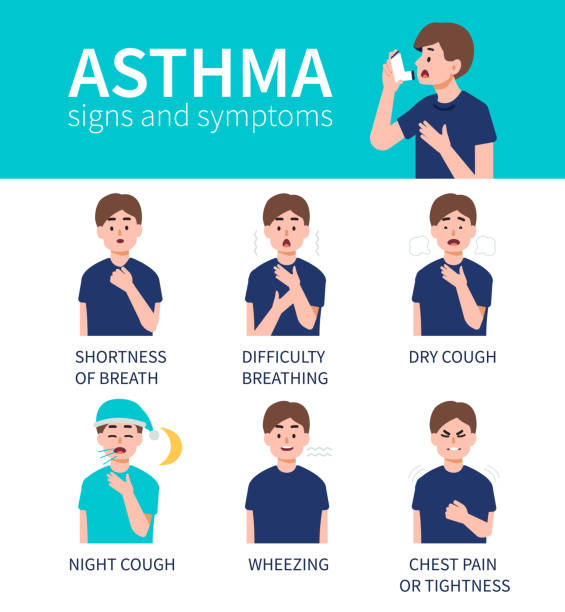 asthma Asthma bronchiale symptoms infographic. Flat style vector illustration isolated on white background. bronchiole stock illustrations