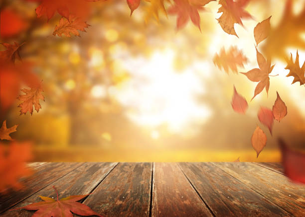istock Falling Autumn Leaves On a Wooden Table Background 1038816254