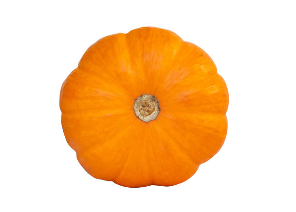 istock Close up pumpkin isolated on white background. 1038852568