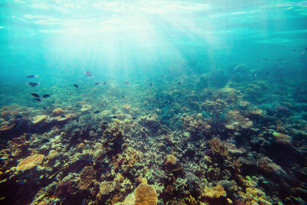 istock background sand on the beach underwater 1038860426