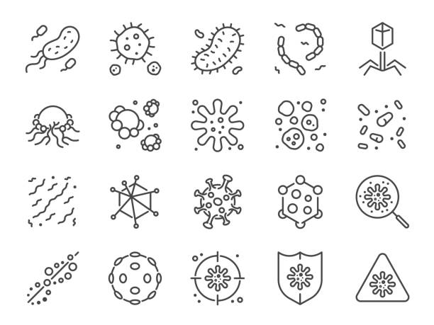 바이러스 아이콘 세트입니다. 식민지의 박테리아, 박테리아, 미생물, 생물, 질병 등으로 아이콘을 포함. - microscope slide stock illustrations