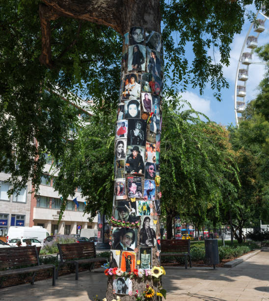 arbre de mémorial de michael jackson - titre dalbum photos et images de collection