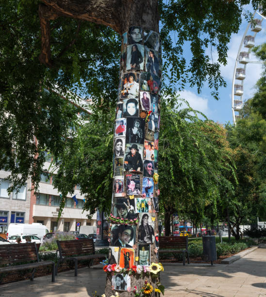 Michael Jackson memorial tree Budapest, Hungary -  3 august, 2018 :in front of this tree is the hotel where Michael Jackson was staying in Budapest, it was a meeting point. album title stock pictures, royalty-free photos & images