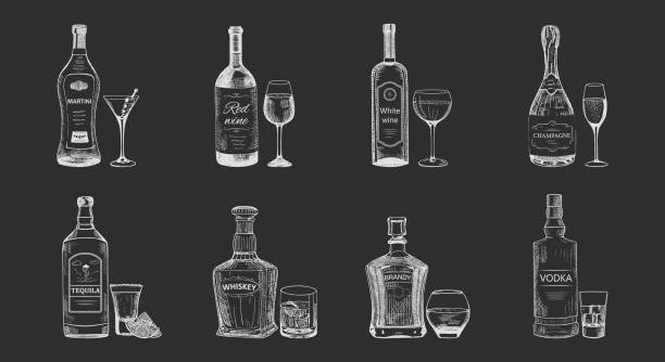 ilustrações, clipart, desenhos animados e ícones de conjunto de bebidas alcóolicas isolado, esboço de garrafas - tequila bebida branca