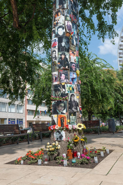 Michael jackson memorial tree Budapest, Hungary -  3 august, 2018 :in front of this tree is the hotel where Michael Jackson was staying in Budapest, it was a meeting point. album title stock pictures, royalty-free photos & images