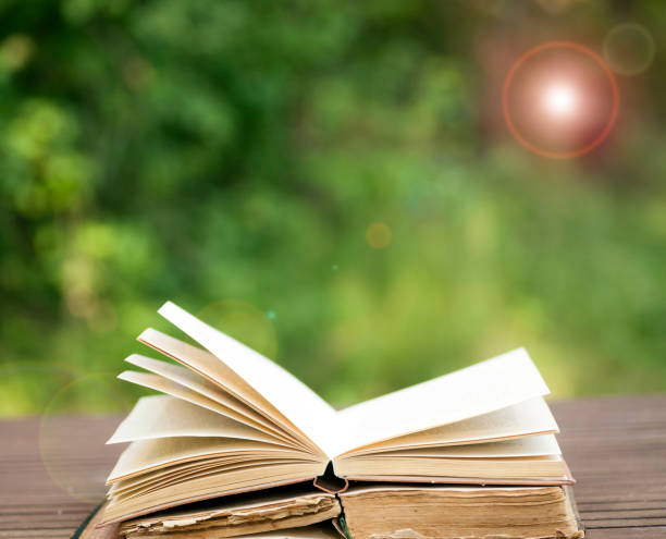 istock Books on the garden table 1038879604