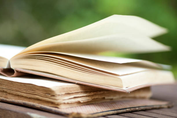 istock Books on the garden table 1038879620