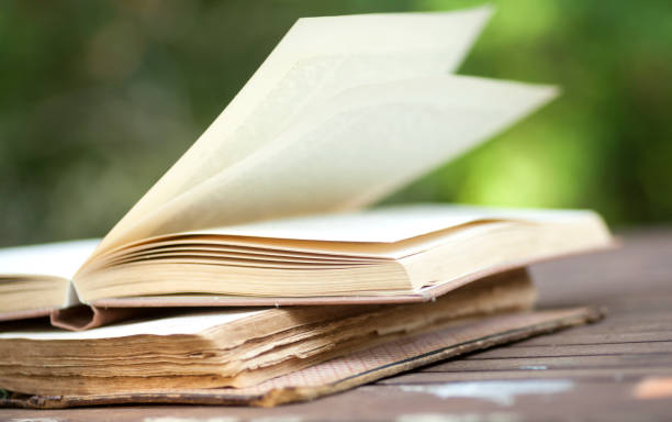 istock Books on the garden table 1038879750