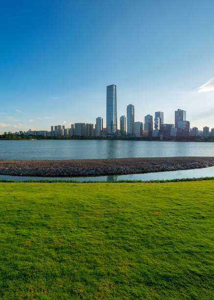 istock Green grass field in park at city 1038887196
