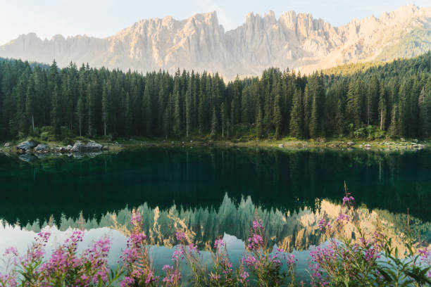 istock Scenic view of Lago di Carezza in Dolomites 1038887848