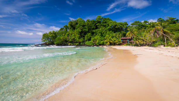 The popular Red frog beach on Basimentos Island, Bocas del Toro, Panama The popular Red frog beach on Basimentos Island, Bocas del Toro, Panama bocas del toro stock pictures, royalty-free photos & images