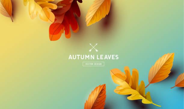 bildbanksillustrationer, clip art samt tecknat material och ikoner med vector hösten fallande löv bakgrund - årstid illustrationer