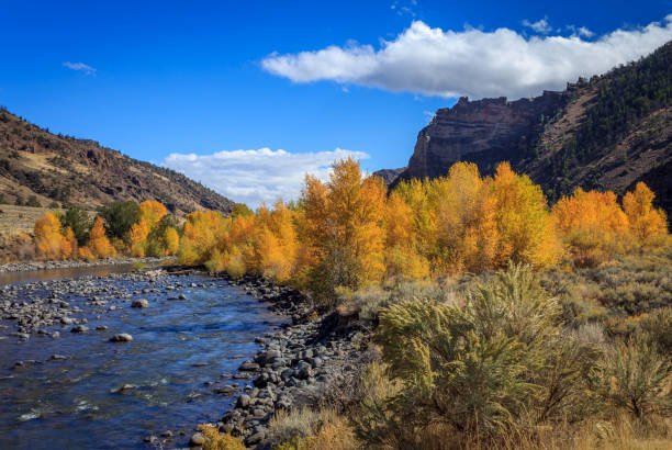 Wyoming fall colors stock photo