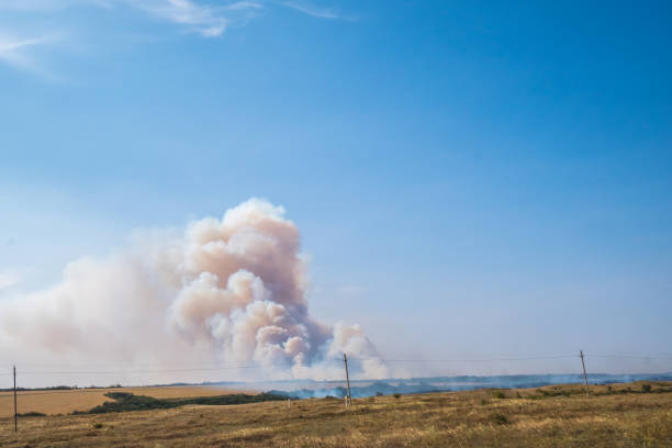 istock a big cloud of thick smoke rising from the ground 1038925926