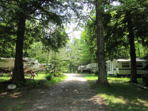 Tree-lined path with camping trailers in woods stock photo
