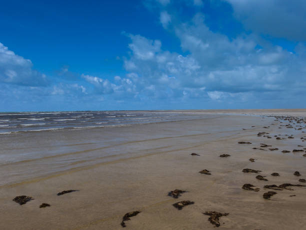 istock Salinas of Maragogi Beach 1038935892