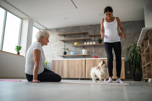 istock Mother and daughter playing with their Maltese dog 1038948772