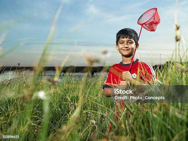 Boy Con Caza Mariposas Foto de stock y más banco de imágenes de 6-7 años - 6-7 años, Actividad, Agarrar