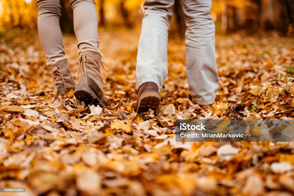 Forever Together Close-up of a couple legs walking through sunny forest in autumn colors. Rear view. Walking Stock Photo