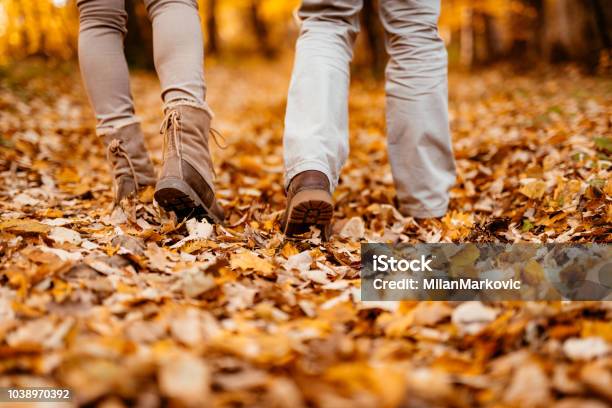 Forever Together Stock Photo - Download Image Now - Walking, Autumn, Leaf