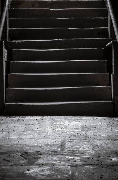 istock Stone stairs in dark cellar 1038970450