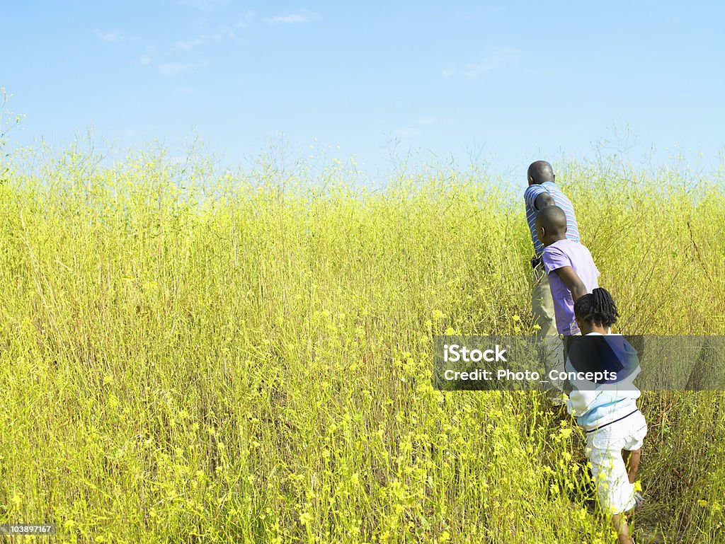 Una famiglia è in esecuzione attraverso un campo - Foto stock royalty-free di Afro-americano