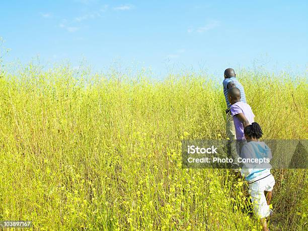 Una Famiglia È In Esecuzione Attraverso Un Campo - Fotografie stock e altre immagini di Afro-americano - Afro-americano, Bambine femmine, Fiore