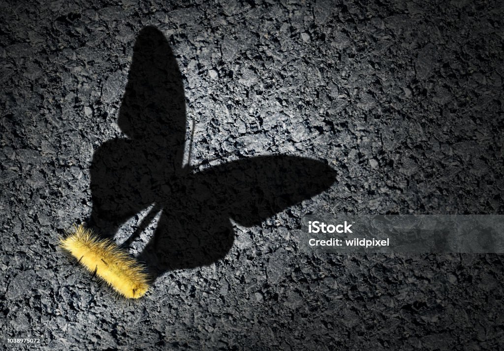 Aspirations Concept Aspiration concept and ambition idea as a caterpillar casting a shadow odf a butterfly as an achievement and hope for futur success symbol with 3D illustration elements. Change Stock Photo