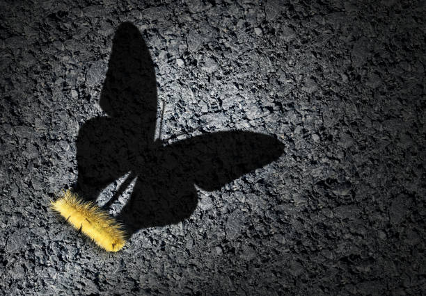 Aspirations Concept Aspiration concept and ambition idea as a caterpillar casting a shadow odf a butterfly as an achievement and hope for futur success symbol with 3D illustration elements. motivation photos stock pictures, royalty-free photos & images