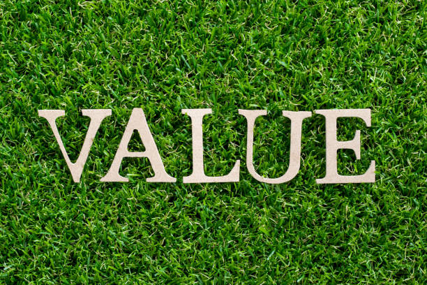 istock Wood letter in word value on artificial green grass background 1038998782
