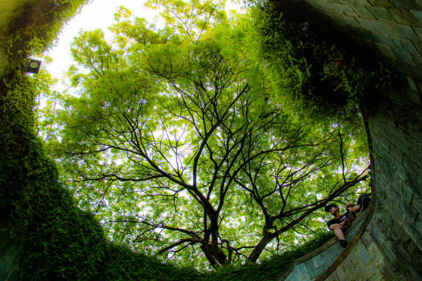 istock Fort Canning Park - Singapore 1039003004
