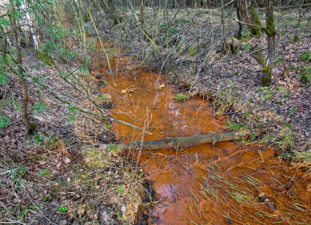 istock very dirty little river in spring 1039003832
