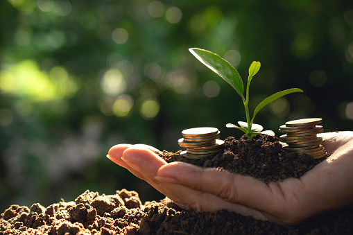 Hand holding coins with plant and soil in hand  for business,finance,saving concept on nature background.