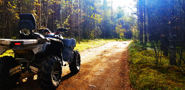 istock Quad bike on a forest road 1039011248