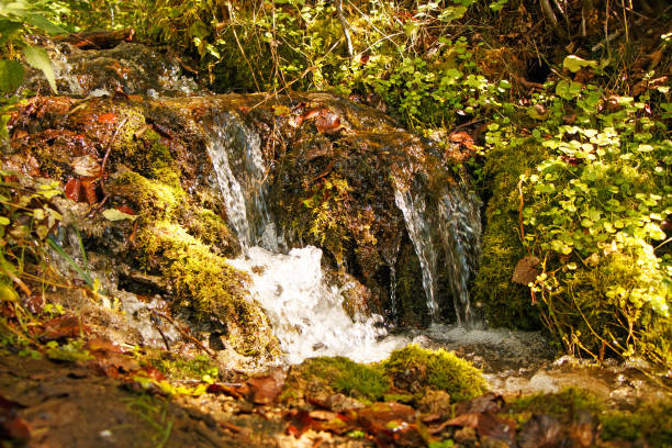istock Beautiful small natural waterfall in a rugged forest area. 1039012948