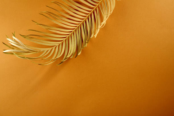 istock Golden leaves background, summer concept 1039029264