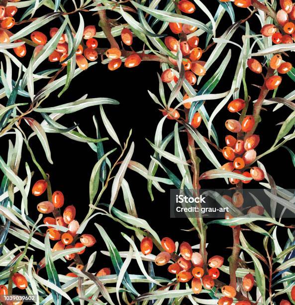 Buckthorn Seamless Pattern Stock Illustration - Download Image Now - Abstract, Art, Autumn