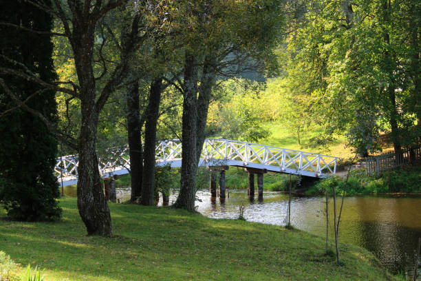 istock Wooden footbridge 1039062426