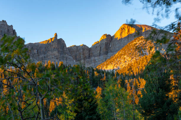 great basin national park in nevada - nevada landscape rock tree imagens e fotografias de stock