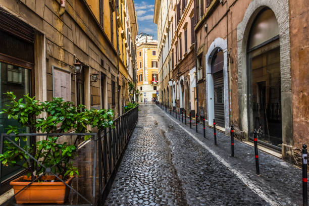 istock Empty Italian street with stone-pavement, trees and blue sky 1039079664