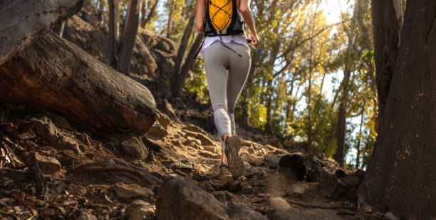 istock Female running in a mountain trail race 1039083218