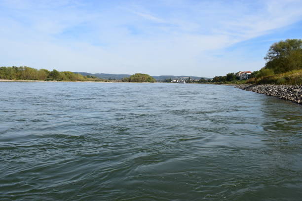 istock Rhine river near Urmitz 1039089242