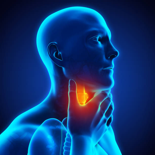 illustrazione mal di gola - esofago foto e immagini stock