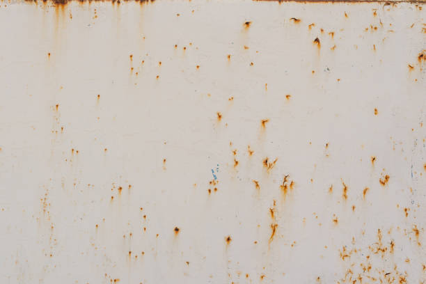 A detailed view of a rust-covered metal surface with a large patch of peeling white paint. The corrosion creates a textured, gritty backdrop that contrasts sharply with the remaining painted area. The image captures decay, aging materials, and industrial wear.